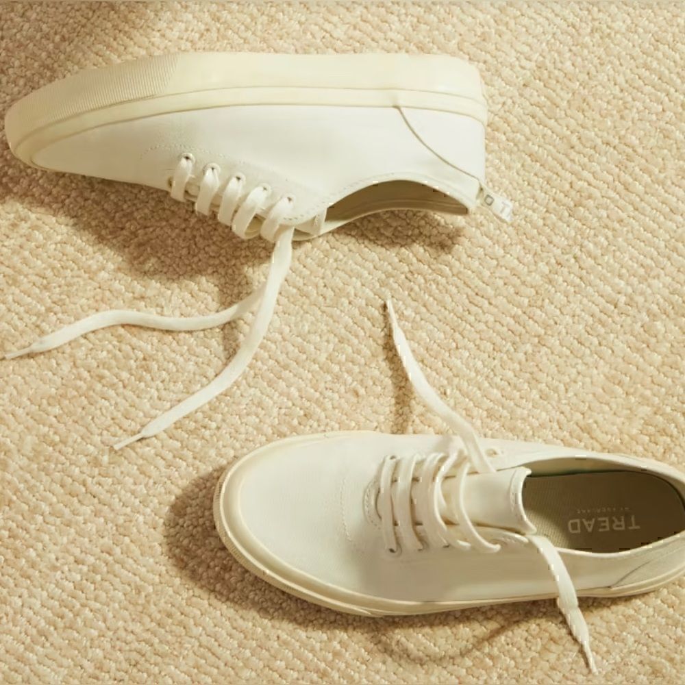 New Everlane The Forever Sneaker® Men's Size 12 Women's Size 14
